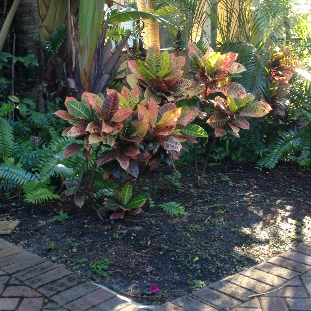 Meet your Posher, Hayden